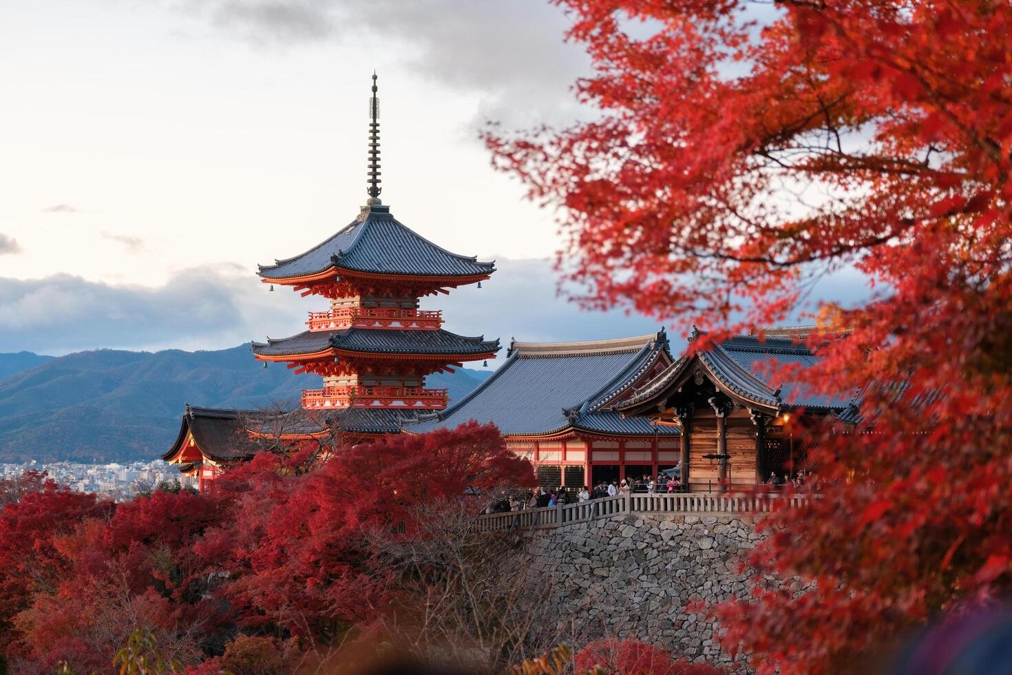 10 Best Travel Destinations in the World – Kyoto’s enchanting bamboo forest and historic temples