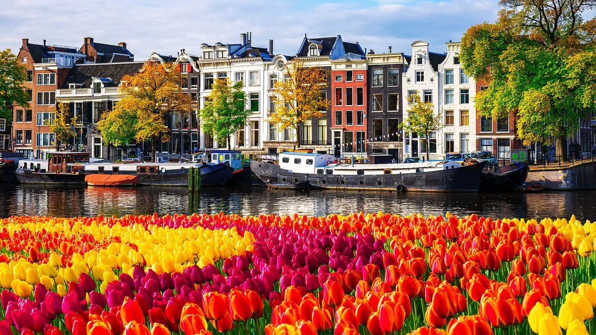 10 Top Countries in the World – Netherlands' bike-friendly cities and canals showing sustainability and quality living.