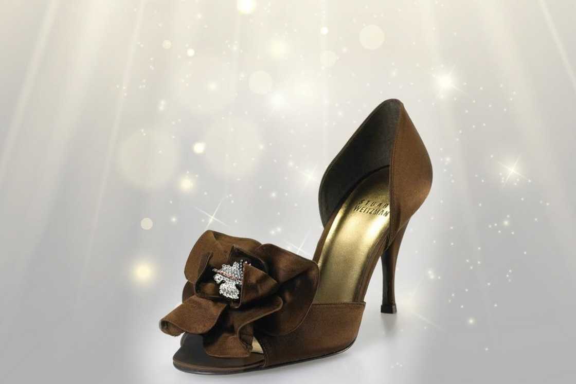 Stuart Weitzman Rita Hayworth Heels in the 10 Most Expensive Shoes in the World, featuring satin and precious gemstones from earrings.