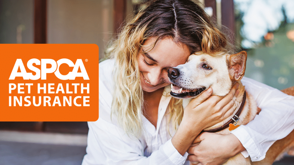 ASPCA logo – among the 10 Best Pet Insurance Companies offering behavioral coverage and affordable protection.