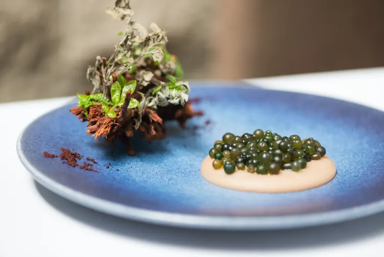 Central’s vibrant Peruvian tasting menu, part of the 10 Most Famous Michelin Star Restaurants in Lima, Peru.