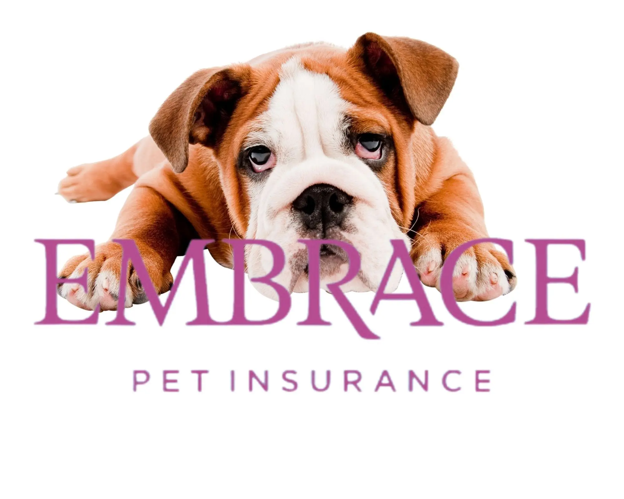 Embrace logo – part of the 10 Best Pet Insurance Companies, known for wellness add-ons and breed-specific coverage.
