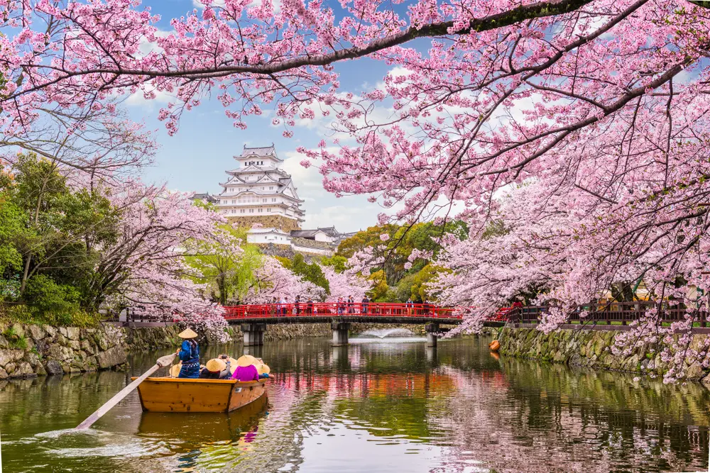 Experiencing cherry blossoms in Kyoto, Japan – 10 Best Travel Experiences in the World for seasonal beauty and cultural delight.