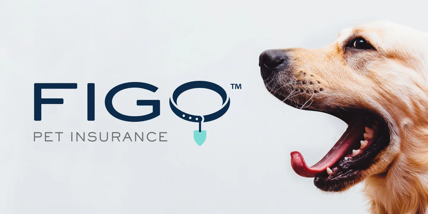 Figo logo – top-rated in the 10 Best Pet Insurance Companies for tech-savvy pet parents with 24/7 virtual vet access.