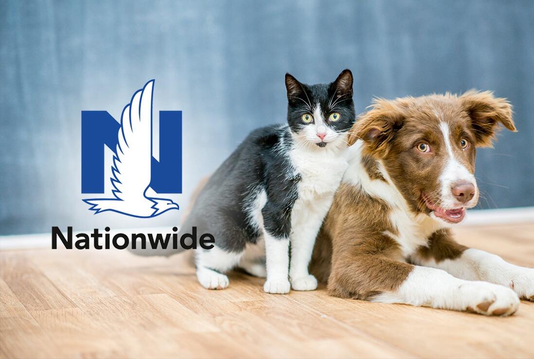 Nationwide logo – included in the 10 Best Pet Insurance Companies for exotic pets and whole pet coverage.
