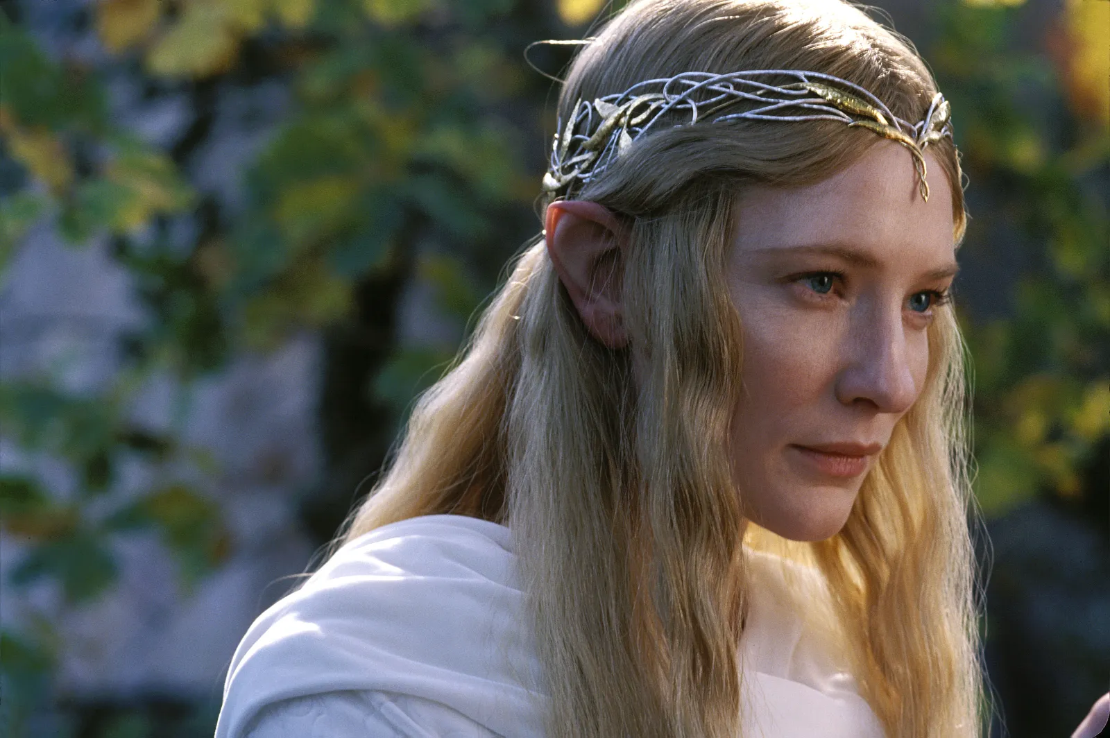 Cate Blanchett on the 10 Most Famous Actresses in the World list, known for Elizabeth and The Lord of the Rings.