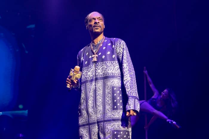 Snoop Dogg ranks in the 10 Most Famous Rappers in the World for G-funk legacy and cultural crossover success.