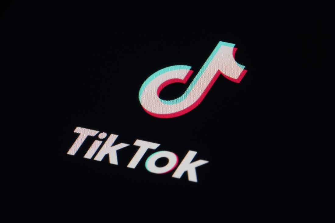 TikTok app icon showing its viral content success and high ranking in the 10 Most Popular Websites in the World.