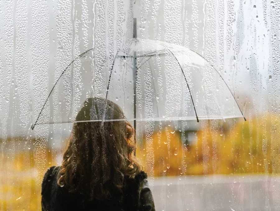 Showcasing the 10 Most Popular Insurance Policies in the world including cost, coverage, and regional popularity for 2025.