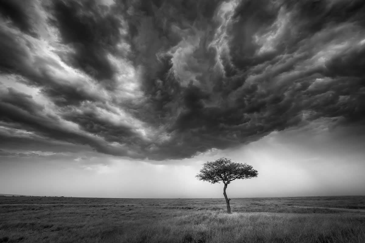 Fine art photography display – Ultimate Fine Art Buying Guide for collecting limited-edition photo prints with value.